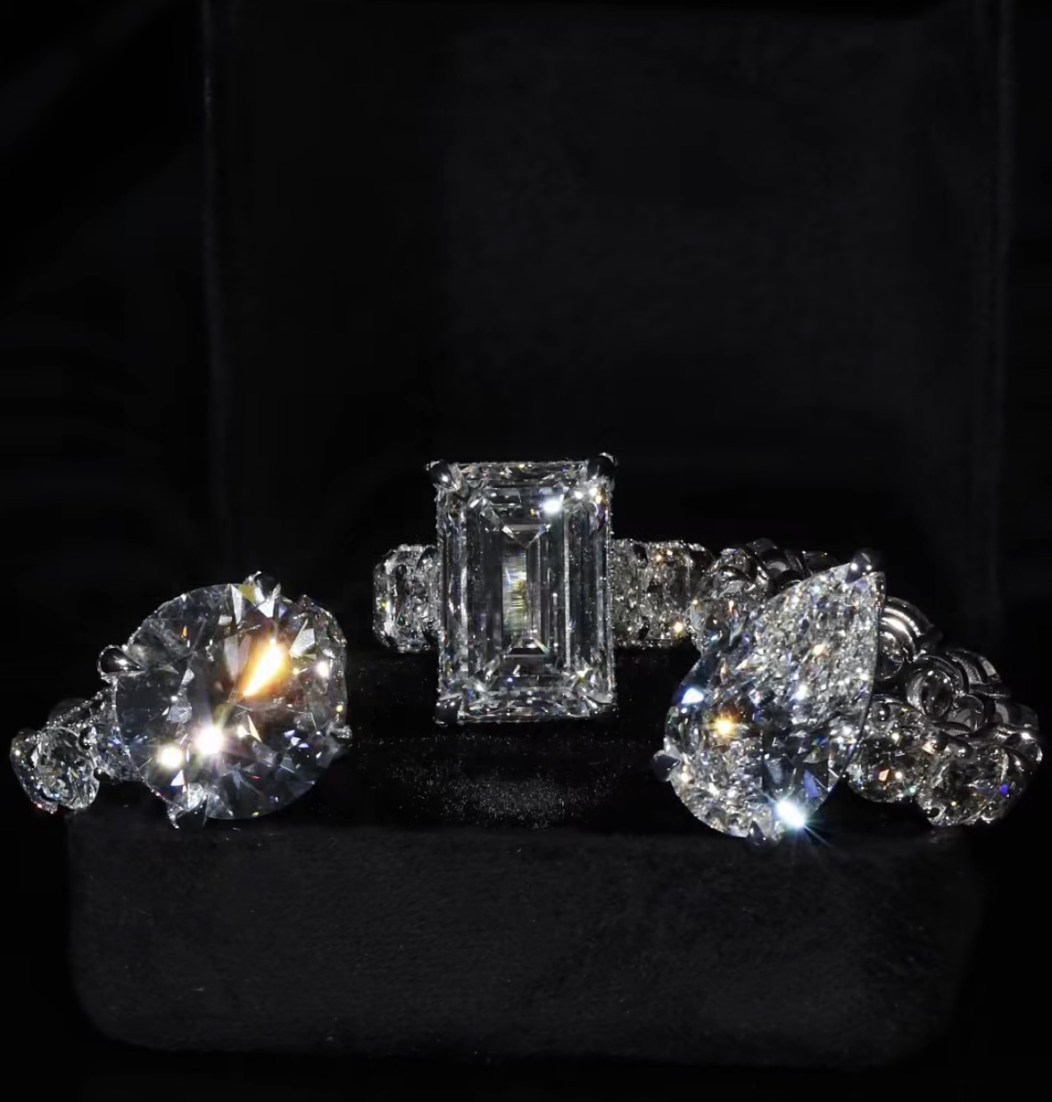 Collector Ring Suite